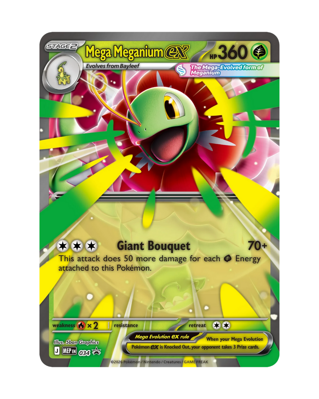 Pokemon - Mega Meganium ex Box